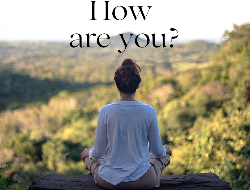 Accueil 12 Green Minimalist Motivation Meditation Quote Instagram Post e1715252157643